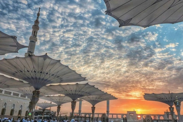 Sunrise view of Al-Masjid an-Nabawi with iconic courtyard umbrellas in Madinah